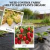 Weed Barrier Landscape Fabric